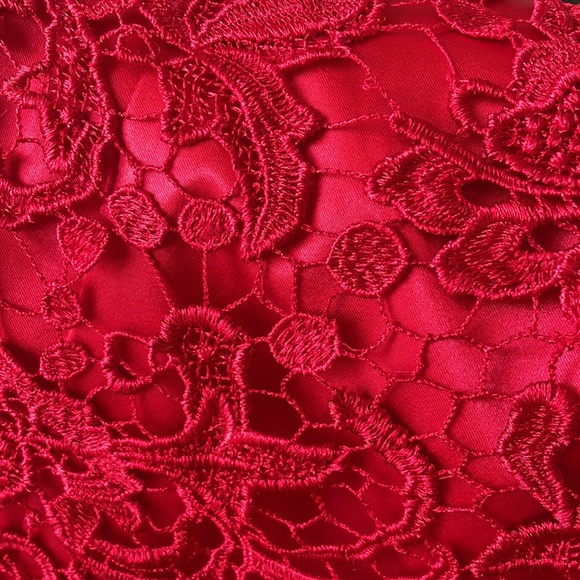 Vintage Red Satin Embroidered Lace Cocktail Dress - Picture 3 of 10